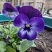 Beth Eaves - Facebook