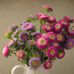 Beth Eaves - Facebook