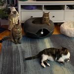 Beth Ebel - @bethebel4 - Instagram