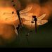 Beth Eby - Facebook