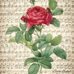 Beth Eckel - @betheckelart - Instagram