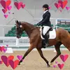 Beth Eckley - @betheckley16 - TikTok