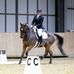 Beth Eckley Equestrian - Facebook
