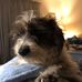 Beth Eckman - Facebook
