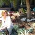 Beth Edelstein Landscape Design - Facebook