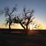 Beth Davis Edington - @bessed - Instagram