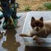Beth Edington - Facebook