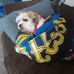 Elizabeth Edington - Facebook
