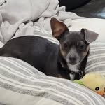 Beth Egbert Allen - @bethallen10 - Instagram