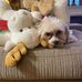Beth Ehrhardt - Facebook