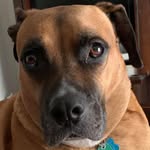 Beth Hinton Elkins - @sochar1970 - Instagram