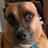 bethhintonelkins - @bethhintonelkins - TikTok