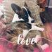 Beth Latsko Eller - Facebook