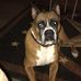Beth Ellison - Facebook