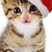Elizabeth Elwell - Facebook