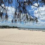 Beth Emerson - @bethemerson58 - Instagram