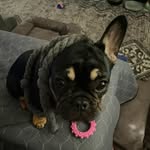Beth Emmerich - @wee_baby_cheese - Instagram