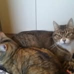 Bethany Emr - Facebook