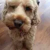 bethengland404 - @bethengland404 - TikTok
