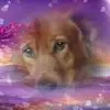 Beth Enos Overbaugh - @grannybeth65 - TikTok