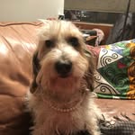 Beth Epstein - @bethep1 - Instagram