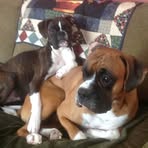 Beth Ernst - Facebook