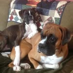 Beth Ernst - @larry_ernst_ - Instagram