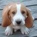 Beth Erskine - Facebook