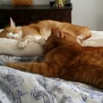 bbbfff - @beth.fair - Instagram
