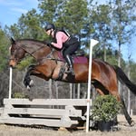 Beth Faris Achorn - @bethachorn - Instagram