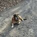 Beth Felder - Facebook