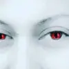 bethyfelder - @bethyfelder - TikTok