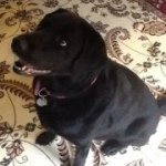 Beth Tasca-Fellows - @crystalfish267 - Instagram