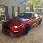 Beth Fischer - @bethie1024 - Instagram