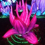 Beth Flanagan - @beth.flanagan.104 - Instagram