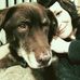 Bethany Fleischer - Facebook