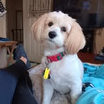 Beth Flynn - @bethflynn12943 - Instagram