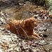 Beth Flynn - Facebook