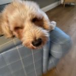 Beth Forrest - @bethforrest - Instagram