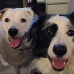 Beth Fortier - @beth.m.fortier - Instagram