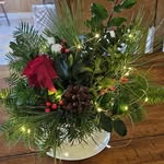 Beth Fortier Sanford - @fortiersanford - Instagram