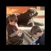 Beth Mince-Ennis Fortier - Facebook