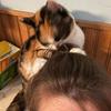 bethadamsfortier - @bethadamsfortier - TikTok