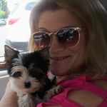 Beth B. Frederick - @bethfrederick11 - Instagram
