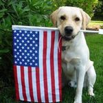 Beth A Vanderslice Fryer - @beth.a.fryer - Instagram