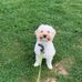 Beth Fryer - Facebook