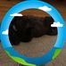 Beth Garber - Facebook