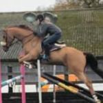 Beth Gardiner - @beth36gardiner - Instagram
