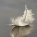 Beth Golding - Facebook