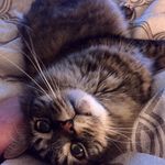 Beth ST Germain - @saintsheaint2 - Instagram